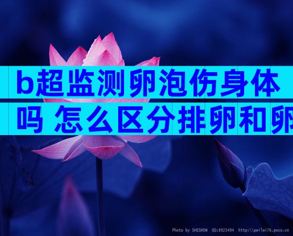 b超监测卵泡伤身体吗 怎么区分排卵和卵泡黄素化